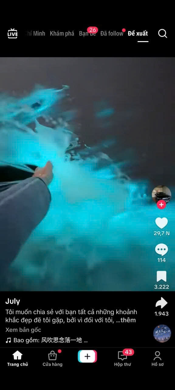 pov là viết tắt của từ gì