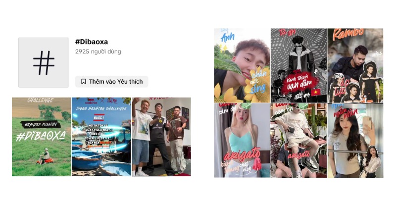 case study tiktok ads Engagement