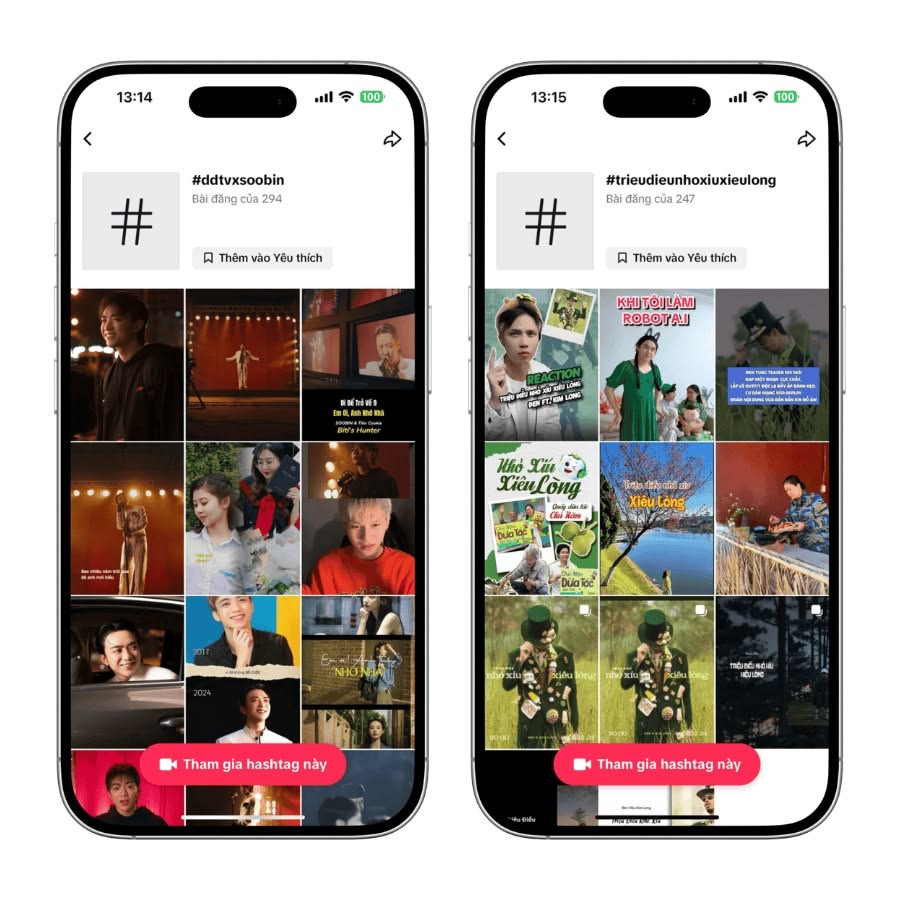 hình thức tiktok Hashtag Challenge