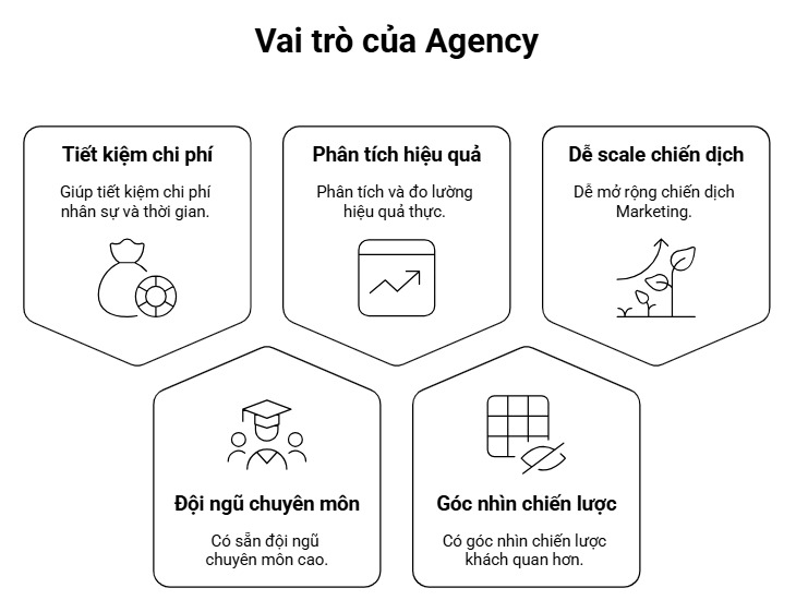 Vai trò của Agency